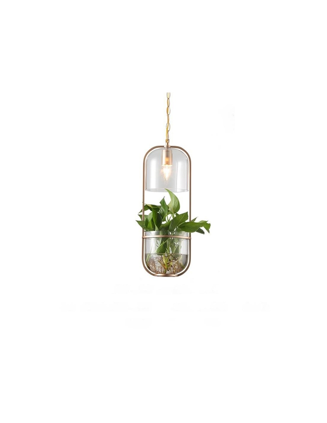 woestenij Leonardoda vrijwilliger Glass Pastoral Eco-Friendly Hanging Lamp for Aquatic Plants - Simiglighting