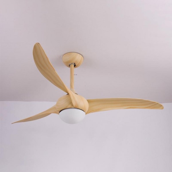 Indoor Ceiling Fan Lighting