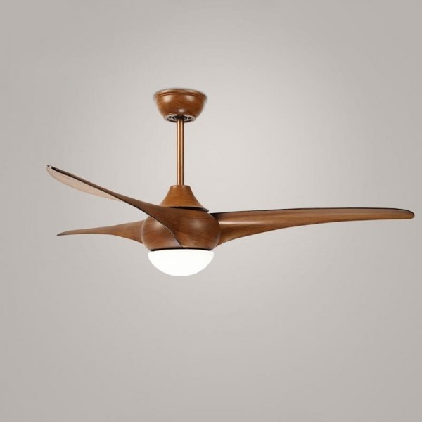 Indoor Ceiling Fan Lighting