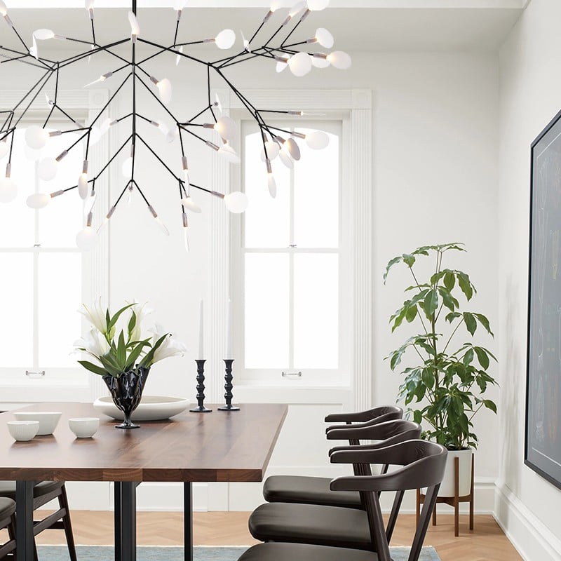 Heracleum Chandelier